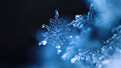 Snowflake Wallpaper